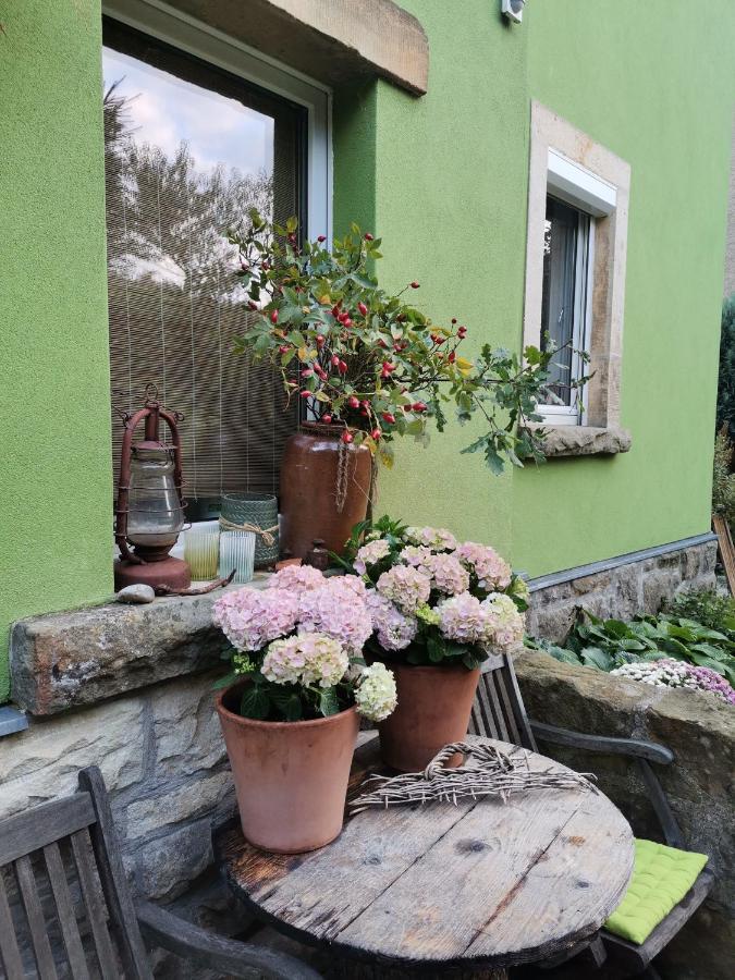 Apartmán Auszeit Freital Exteriér fotografie