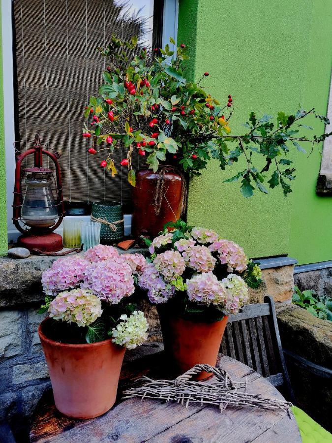 Apartmán Auszeit Freital Exteriér fotografie
